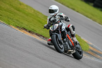 PJ-Motorsport-2019;anglesey-no-limits-trackday;anglesey-photographs;anglesey-trackday-photographs;enduro-digital-images;event-digital-images;eventdigitalimages;no-limits-trackdays;peter-wileman-photography;racing-digital-images;trac-mon;trackday-digital-images;trackday-photos;ty-croes